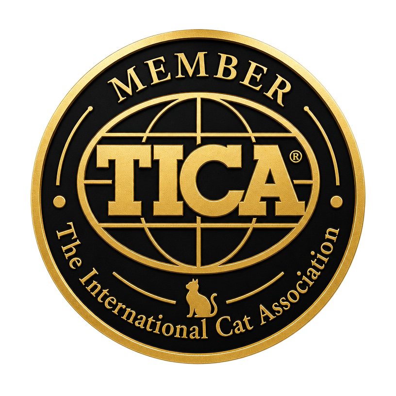 Membre officiel TICA — The International Cat Association